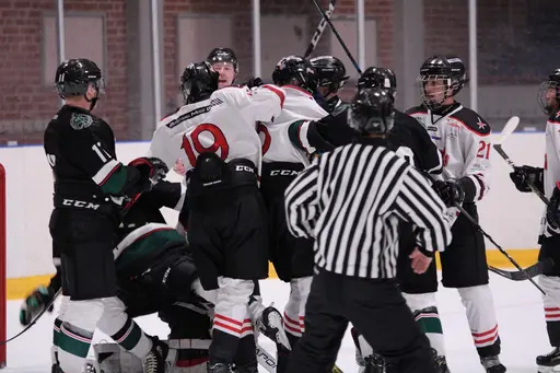 Bilder främst från sista matchen Lejonet-Giants 23 februari 2020