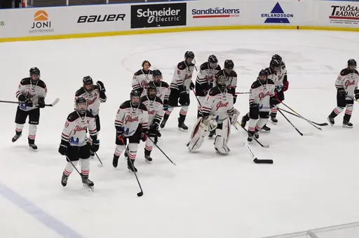 Bilder främst från sista matchen Lejonet-Giants 23 februari 2020