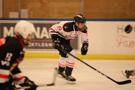 Bilder främst från sista matchen Lejonet-Giants 23 februari 2020