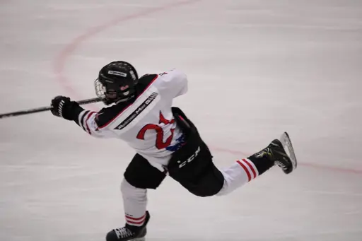 Bilder främst från sista matchen Lejonet-Giants 23 februari 2020