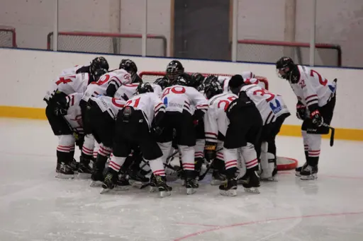 Bilder främst från sista matchen Lejonet-Giants 23 februari 2020
