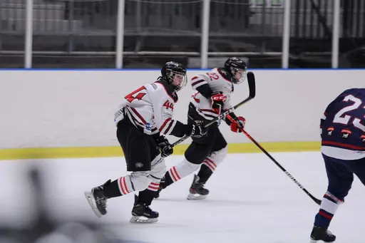 Bilder främst från sista matchen Lejonet-Giants 23 februari 2020