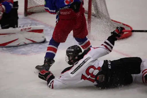 Bilder främst från sista matchen Lejonet-Giants 23 februari 2020