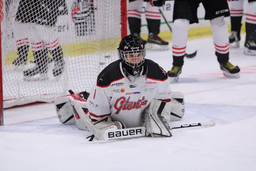 Bilder främst från sista matchen Lejonet-Giants 23 februari 2020