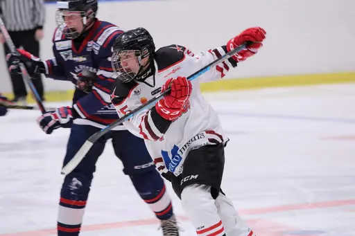 Bilder främst från sista matchen Lejonet-Giants 23 februari 2020