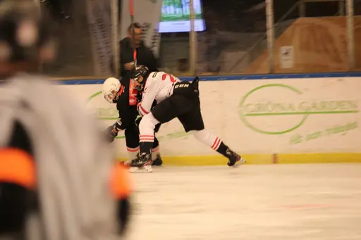 Bilder främst från sista matchen Lejonet-Giants 23 februari 2020