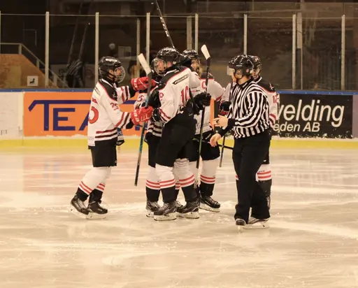 Bilder främst från sista matchen Lejonet-Giants 23 februari 2020