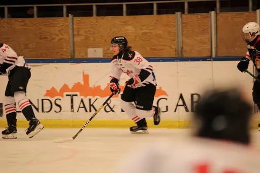 Bilder främst från sista matchen Lejonet-Giants 23 februari 2020