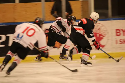 Bilder främst från sista matchen Lejonet-Giants 23 februari 2020