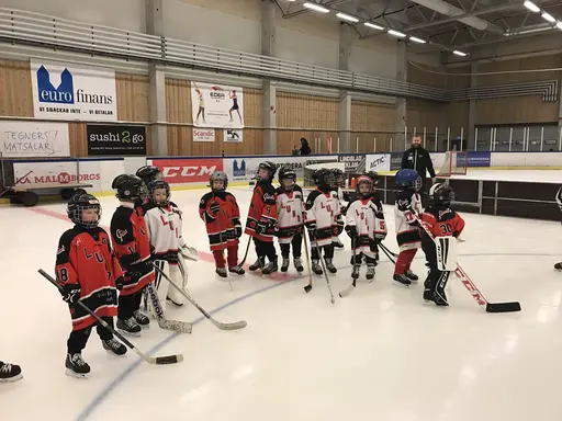 Hockeyskolans 10:or ska spela match mot Malmö Redhawks 