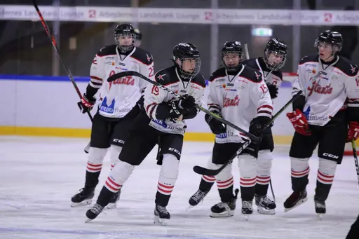 Bilder främst från sista matchen Lejonet-Giants 23 februari 2020