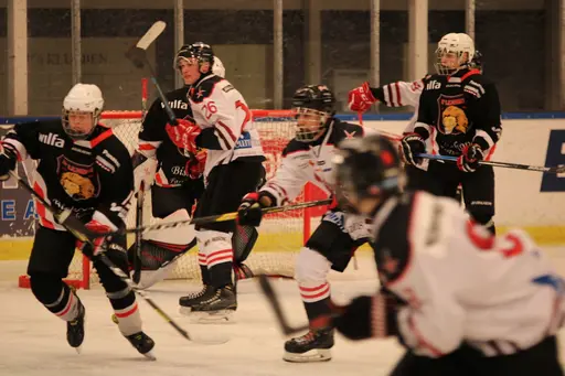 Bilder främst från sista matchen Lejonet-Giants 23 februari 2020