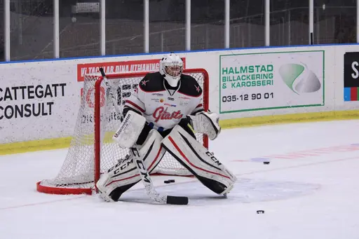 Bilder främst från sista matchen Lejonet-Giants 23 februari 2020