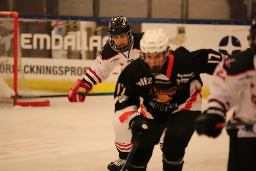 Bilder främst från sista matchen Lejonet-Giants 23 februari 2020