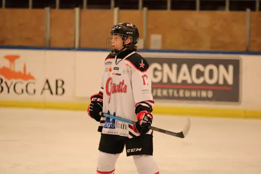Bilder främst från sista matchen Lejonet-Giants 23 februari 2020