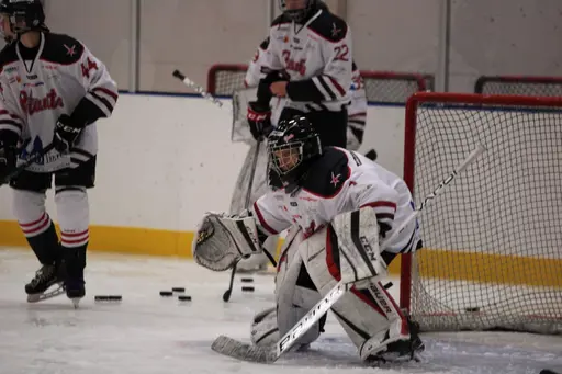 Bilder främst från sista matchen Lejonet-Giants 23 februari 2020