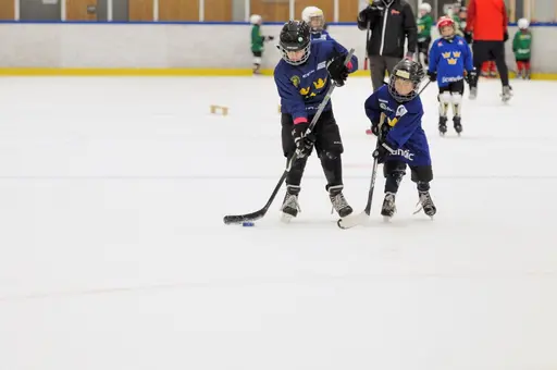 Fler bilder finns i BILDGALLERI. (foto: Jarek Pyrih)