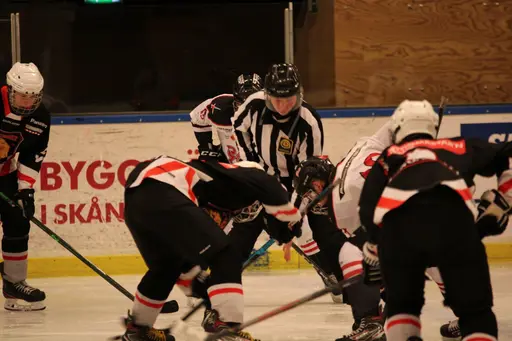 Bilder främst från sista matchen Lejonet-Giants 23 februari 2020