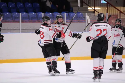 Bilder främst från sista matchen Lejonet-Giants 23 februari 2020