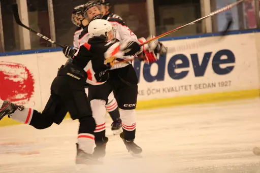 Bilder främst från sista matchen Lejonet-Giants 23 februari 2020