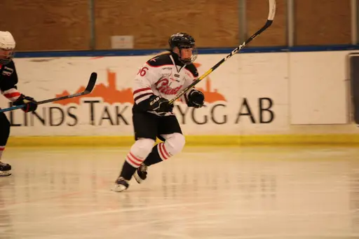 Bilder främst från sista matchen Lejonet-Giants 23 februari 2020