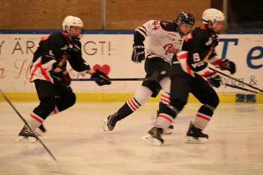 Bilder främst från sista matchen Lejonet-Giants 23 februari 2020
