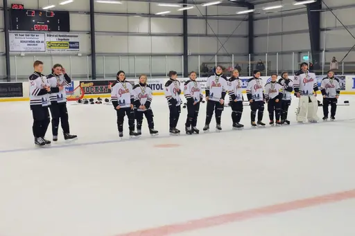 Bilder från gårdagens DM-final.