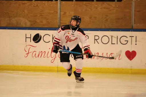 Bilder främst från sista matchen Lejonet-Giants 23 februari 2020