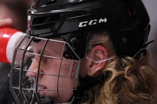 Bilder främst från sista matchen Lejonet-Giants 23 februari 2020