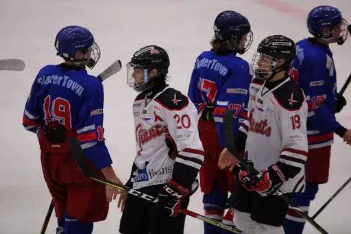 Bilder främst från sista matchen Lejonet-Giants 23 februari 2020