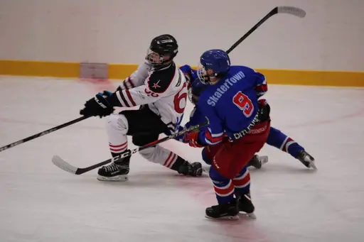 Bilder främst från sista matchen Lejonet-Giants 23 februari 2020