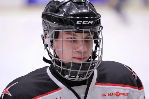Bilder främst från sista matchen Lejonet-Giants 23 februari 2020