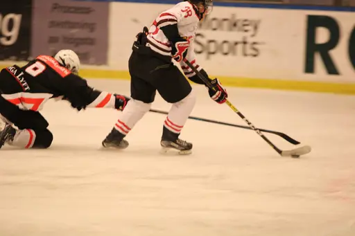 Bilder främst från sista matchen Lejonet-Giants 23 februari 2020