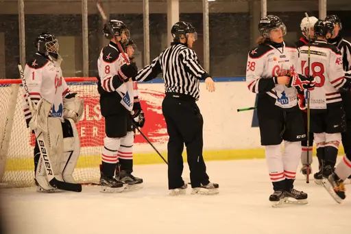 Bilder främst från sista matchen Lejonet-Giants 23 februari 2020