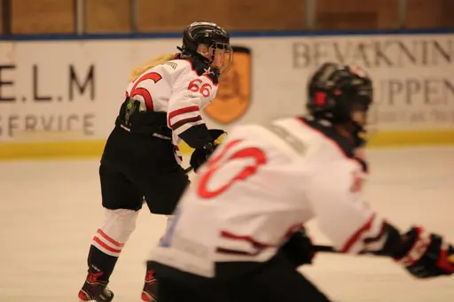 Bilder främst från sista matchen Lejonet-Giants 23 februari 2020