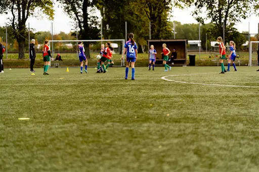 Fotograf Linnsej Photography