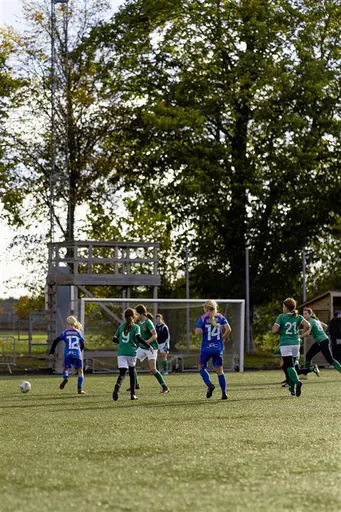 Fotograf Linnsej Photography