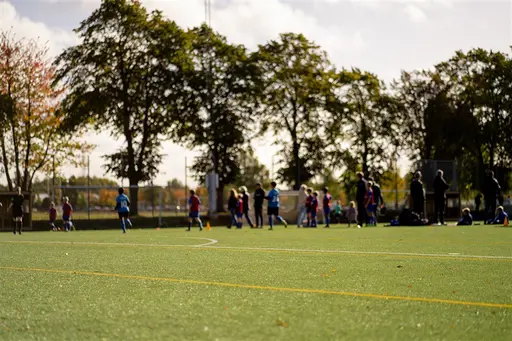 Fotograf Linnsej Photography