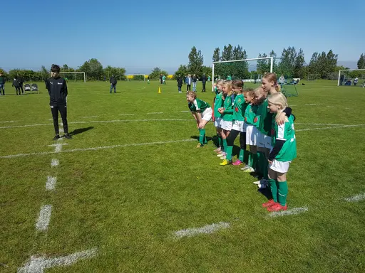 Vi är gröna vi är sköna !!