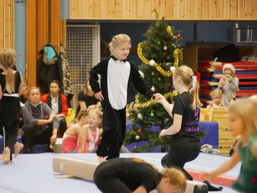 Bilder från tidigare uppvisningar