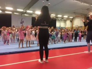 Bilder från tidigare uppvisningar