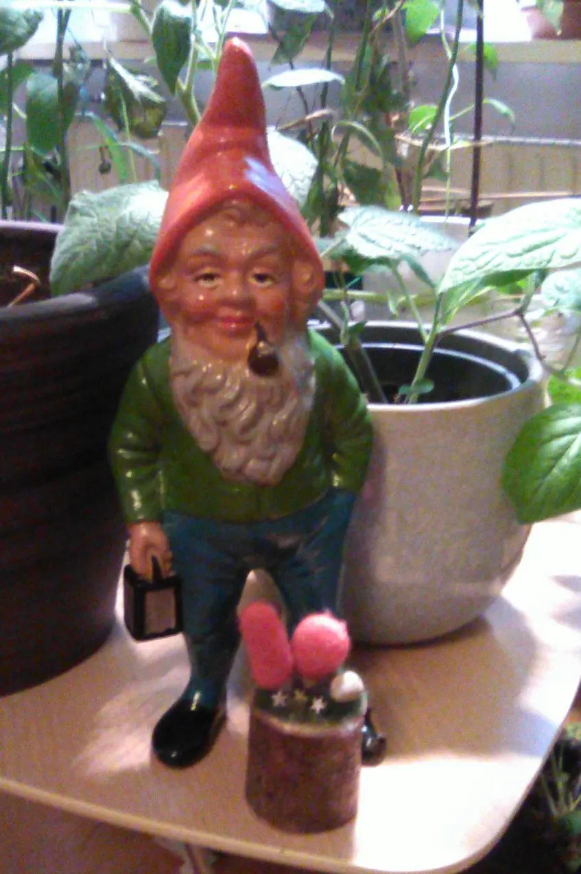 Hemmingways tomte på besök...