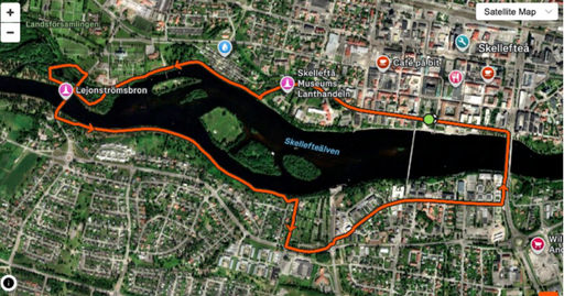 Guldloppet 6 / 12km