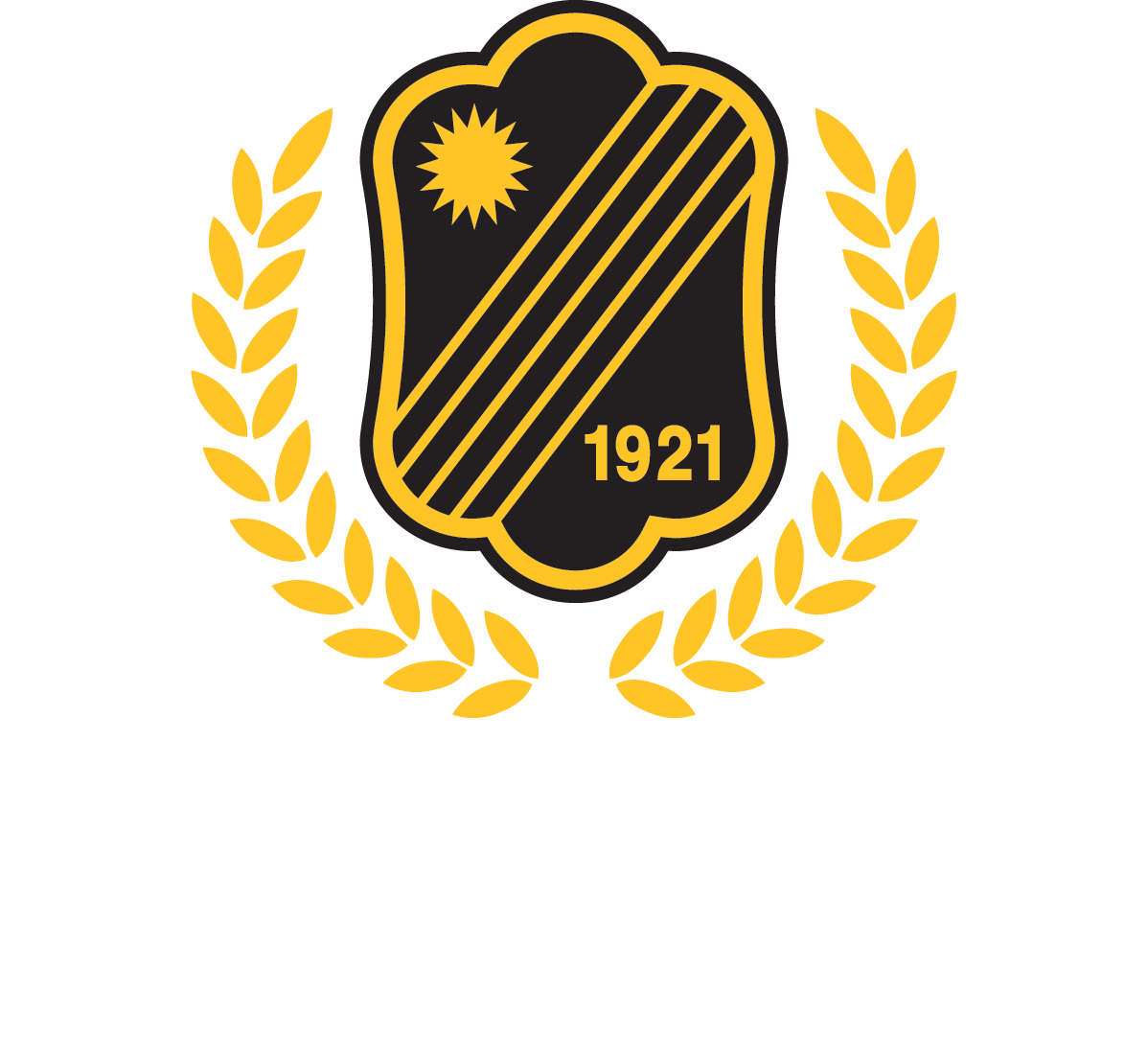 Skellefteå AIK Friidrott