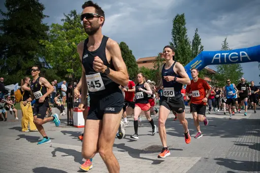 Foto: Stefan Persson