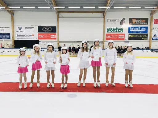 Team Snow