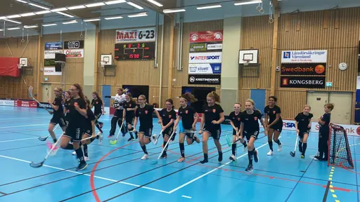 Gänget!