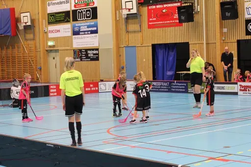 Minnesvärd Eaglesdag 2020
