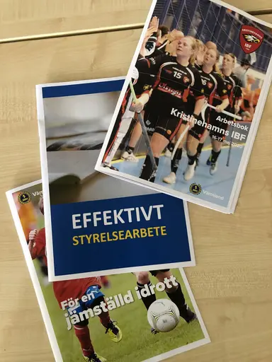 Delar av styrelsen och sportgruppen