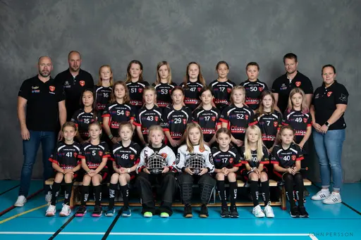 Fyra av KIBF´s alla lag